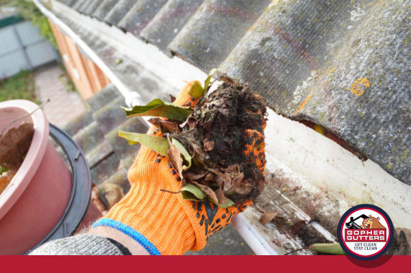 how-often-should-i-clean-my-home-gutters